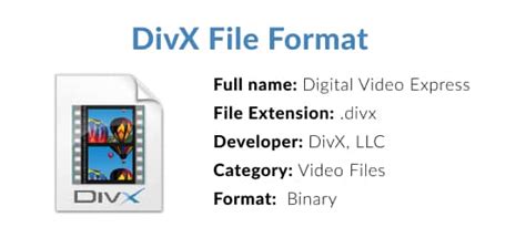 divx porn